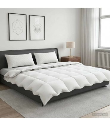 vidaXL 90% Goose Down Duvet Set FULDA 3 pcs 200 x 220 cm Winter White