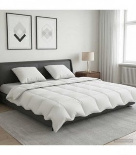 vidaXL 90% Goose Down Duvet Set FULDA 3 pcs 220 x 240 cm Summer White