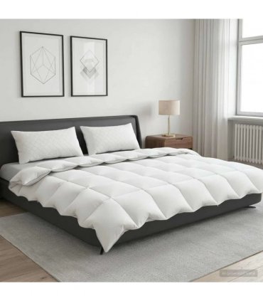 vidaXL 90% Goose Down Duvet Set FULDA 3 pcs 220 x 240 cm All Seasons
