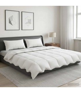 vidaXL 90% Goose Down Duvet Set FULDA 3 pcs 220 x 240 cm Summer White
