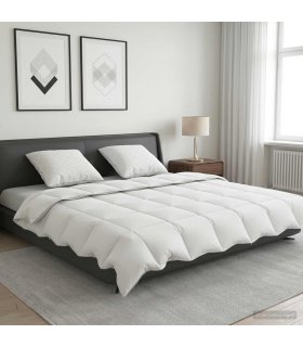 vidaXL 90% Goose Down Duvet Set FULDA 3 pcs 220 x 240 cm Summer White