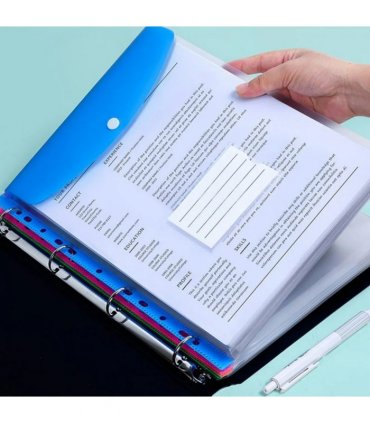 Document Wallets Expandable File Folder  A4 Punched Pockets  Pack of 12