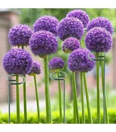20Pcs Metal Plant Bow Stand Stake Strong Round Garden For Flower Support Y UK