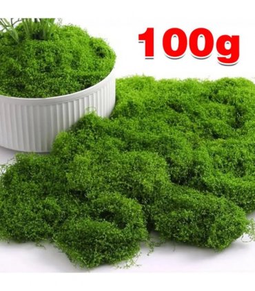 100g Artificial Green Moss Micro Landscape Fake Moss Garden Crafts Home Decor UK