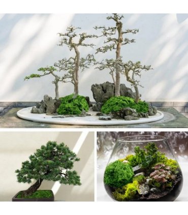 100g Artificial Green Moss Micro Landscape Fake Moss Garden Crafts Home Decor UK