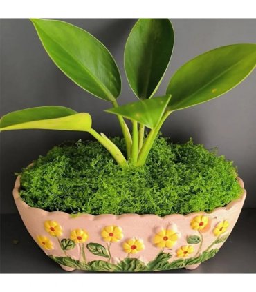 100g Artificial Green Moss Micro Landscape Fake Moss Garden Crafts Home Decor UK