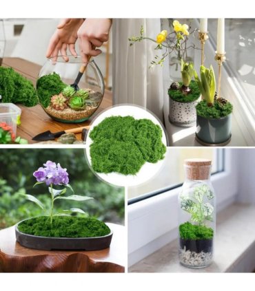 100g Artificial Green Moss Micro Landscape Fake Moss Garden Crafts Home Decor UK
