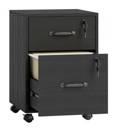 HOMCOM Rolling File Cabinet with 2 Drawers, Mobile Filing Cabinet with Hanging File Folder for Letter Sized Documents, Black