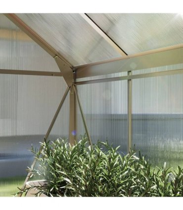 Outsunny 6 x 6ft Polycarbonate Greenhouse - Clear