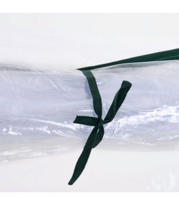 PVC Greenhouse Tunnel Steel Frame Transparent 250x100x80cm