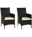 2 PC Rattan Chairs Set-Dark Coffee