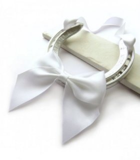 Real Wedding Horseshoe Gift