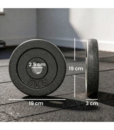 SPORTNOW Weight Plates Set, 1"/2.5cm Weight Disc Pair, 4 x 5kg Metal Dumbbell/Barbell Plates for Home Gym