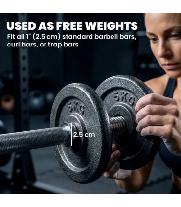 SPORTNOW Weight Plates Set, 1"/2.5cm Weight Disc Pair, 4 x 5kg Metal Dumbbell/Barbell Plates for Home Gym