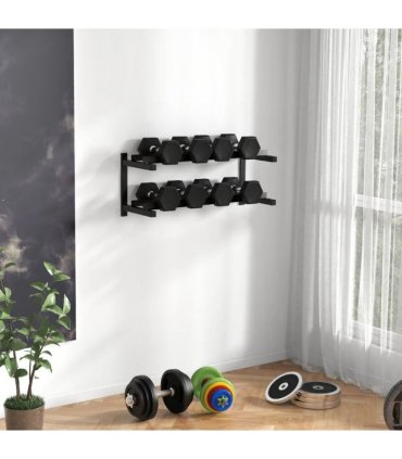 SPORTNOW Wall-Mounted Dumbbell Rack, 2-Tier Weight Stand, Space-Saving and Multi-Functional Steel organiser for Home Gym, Black