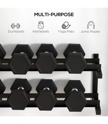SPORTNOW Wall-Mounted Dumbbell Rack, 2-Tier Weight Stand, Space-Saving and Multi-Functional Steel organiser for Home Gym, Black