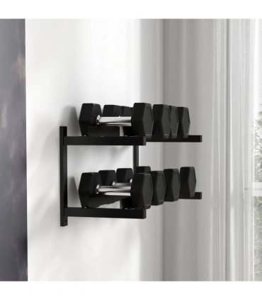 SPORTNOW Wall-Mounted Dumbbell Rack, 2-Tier Weight Stand, Space-Saving and Multi-Functional Steel organiser for Home Gym, Black