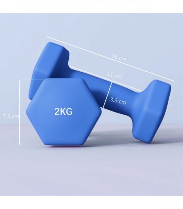 SPORTNOW Set of 2 Hexagonal Dumbbells Weights Pair, 2 x 2kg, Blue