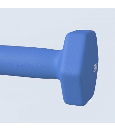 SPORTNOW Set of 2 Hexagonal Dumbbells Weights Pair, 2 x 2kg, Blue