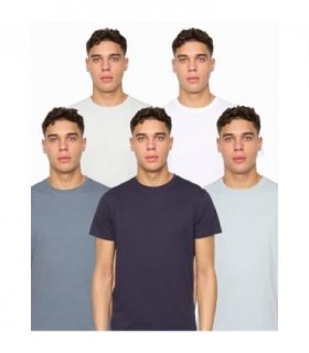 Demtare T-Shirt 5pk Assorted S