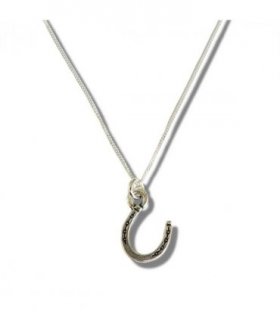 Horseshoe Silver Necklace