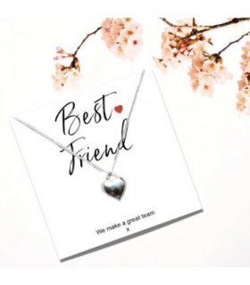 Best Friend Necklace & Card Gift — Colour: Silver