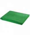 vidaXL Backdrop Cotton without Stand Green 300x300 cm Chroma Key — Size: 300 x 300 cm