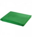 vidaXL Backdrop Cotton without Stand Green 500x300 cm Chroma Key — Size: 500 x 300 cm
