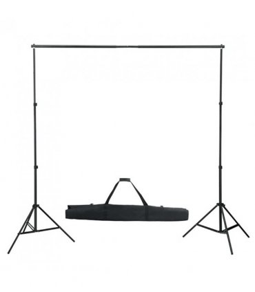 vidaXL Backdrop Support System 600x300 cm Green