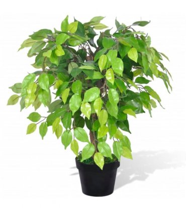 vidaXL Artificial Dwarf Ficus with Pot 60 cm