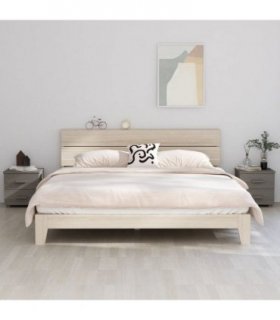 vidaXL Bedside Cabinets HAMAR 2 pcs Light Grey 40x35x44.5cm Solid Wood