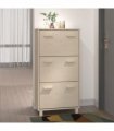 vidaXL Shoe Cabinet HAMAR Honey Brown 59.5x35x117 cm Solid Wood Pine