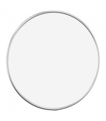 vidaXL Wall Mirror Silver Ø 30 cm Round