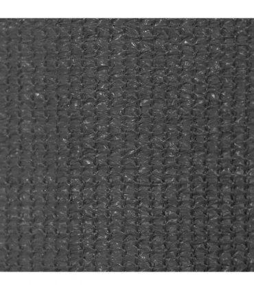 vidaXL Outdoor Roller Blind 185(W)x230(H) cm Anthracite — Size: 180 x 230 cm