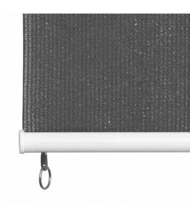 vidaXL Outdoor Roller Blind 145(W)x230(H) cm Anthracite — Size: 140 x 230 cm