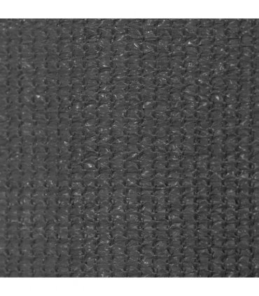 vidaXL Outdoor Roller Blind 145(W)x230(H) cm Anthracite — Size: 140 x 230 cm