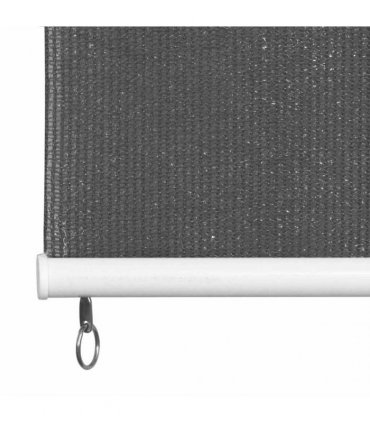 vidaXL Outdoor Roller Blind 205(W)x140(H) cm Anthracite — Size: 200 x 140 cm
