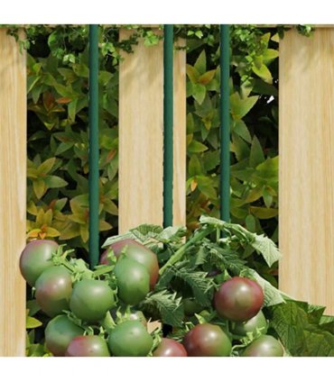 vidaXL Garden Plant Stakes 30 pcs Green 150 cm Steel