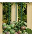 vidaXL Garden Plant Stakes 30 pcs Green 150 cm Steel