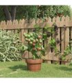vidaXL Garden Plant Supports with 3 Rings 5 pcs Green 60 cm Steel — Size: 21.5 x 60 cm