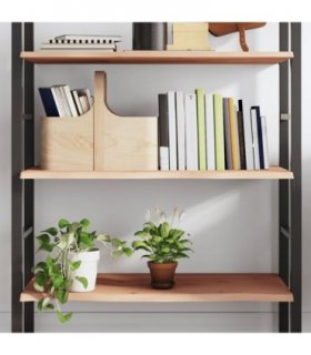 vidaXL Wall Shelf 80x60x2 cm Untreated Solid Wood Oak — Colour: natural, Size: 80 x 60 x 2 cm
