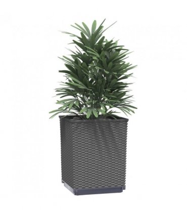 vidaXL Planters 2 pcs Black 30x30x37 cm Polypropylene