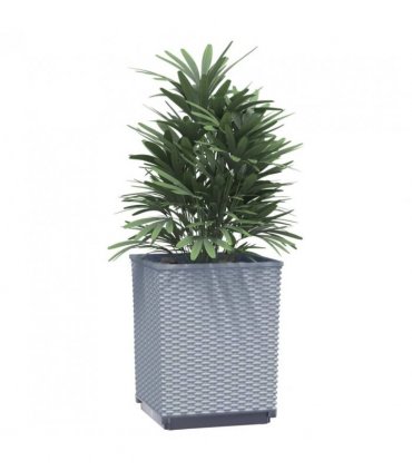 vidaXL Planters 2 pcs Light Grey 30x30x37 cm Polypropylene