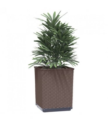 vidaXL Planters 2 pcs Brown 30x30x37 cm Polypropylene