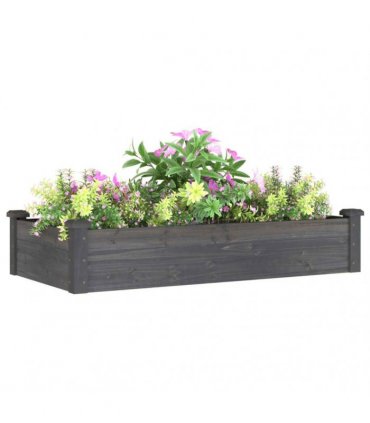 vidaXL Garden Raised Bed with Liner Grey 120x60x25 cm Solid Wood Fir — Size: 120 x 60 x 25 cm