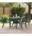 vidaXL Garden Chair 4 pcs Anthracite 56 x 65 x 89 cm Steel