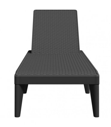 vidaXL Sun Lounger Anthracite 186x60x29 cm PP