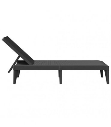 vidaXL Sun Lounger Anthracite 186x60x29 cm PP