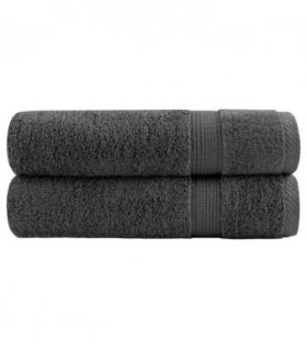 vidaXL Premium Bath Towels "SOLUND" 2 pcs Anthracite 100x150 cm 600 gsm — Size: 100 x 150 cm