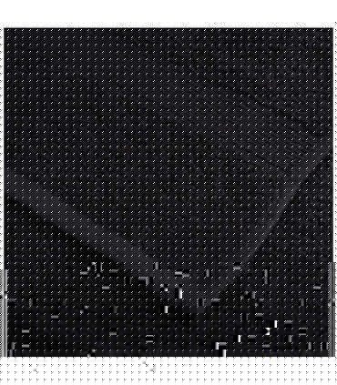 vidaXL 8 Piece Premium Towel Set SOLUND Black 600 gsm